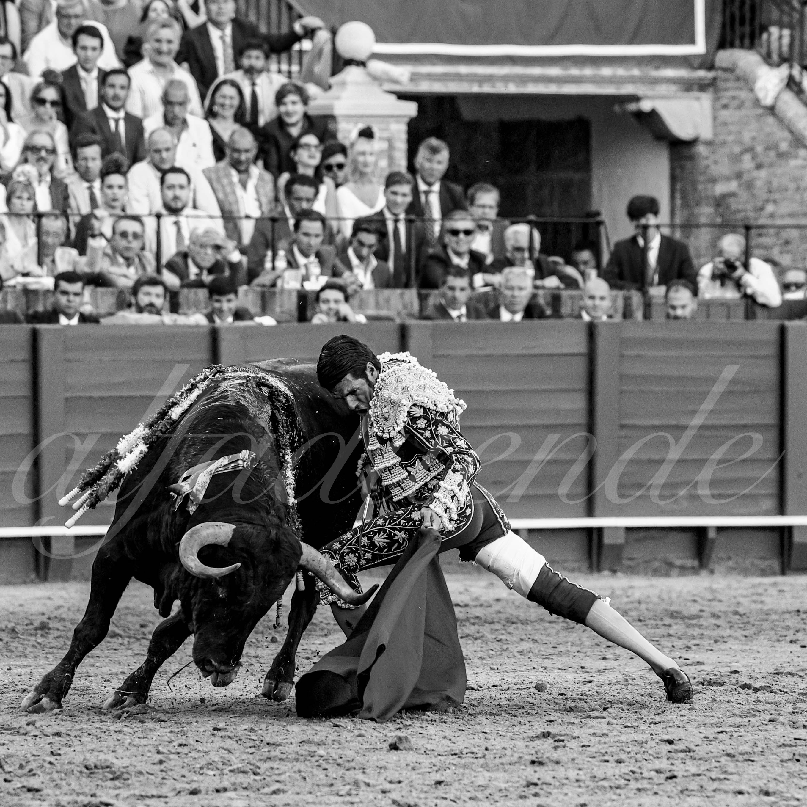 20230424 sevilla 023