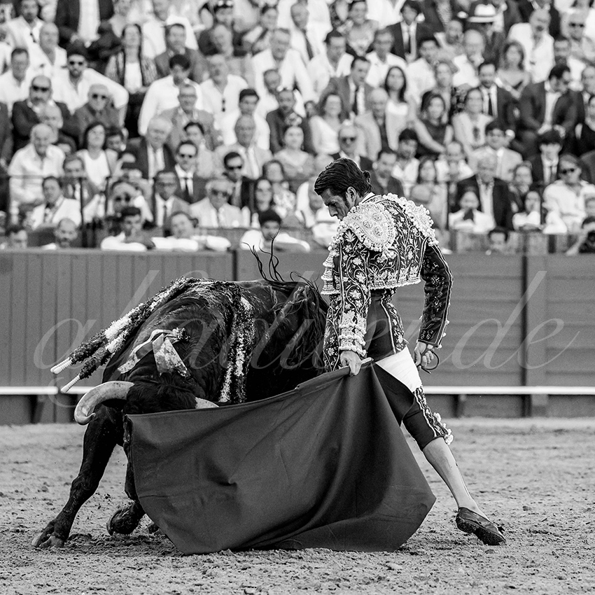 20230424 sevilla 022