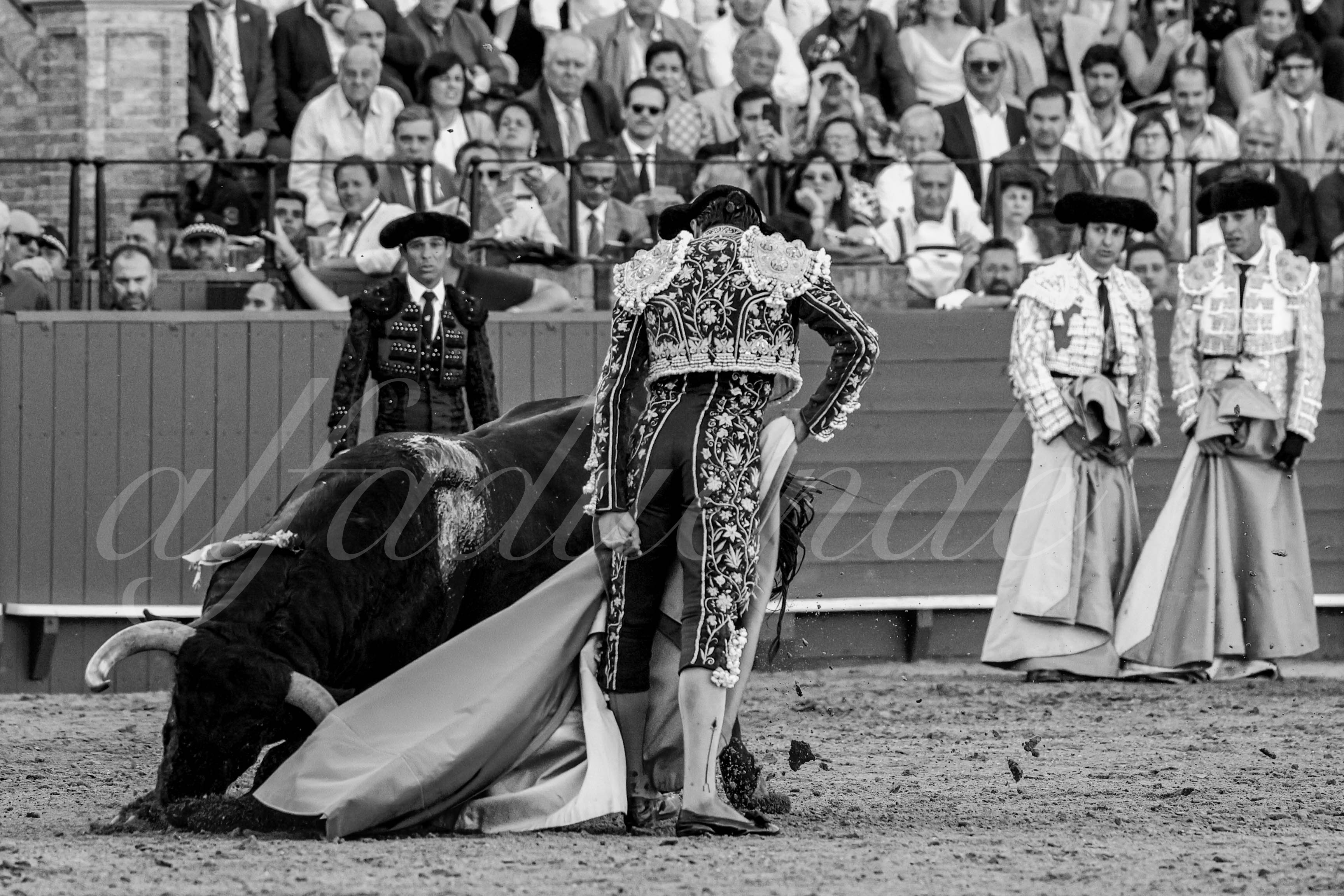 20230424 sevilla 021