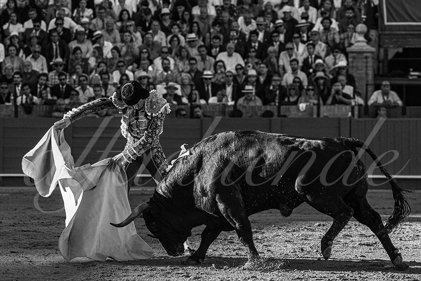 20230424 sevilla 020