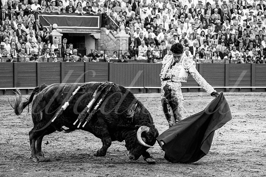 20230424 sevilla 019