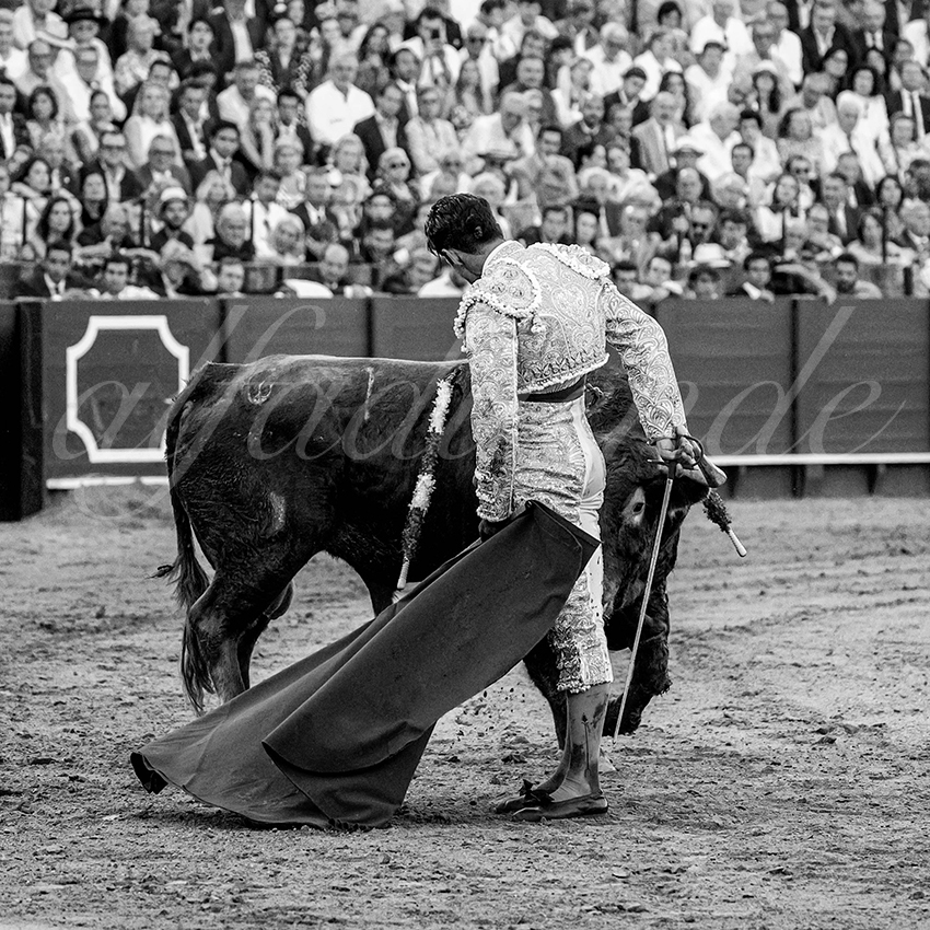 20230424 sevilla 018