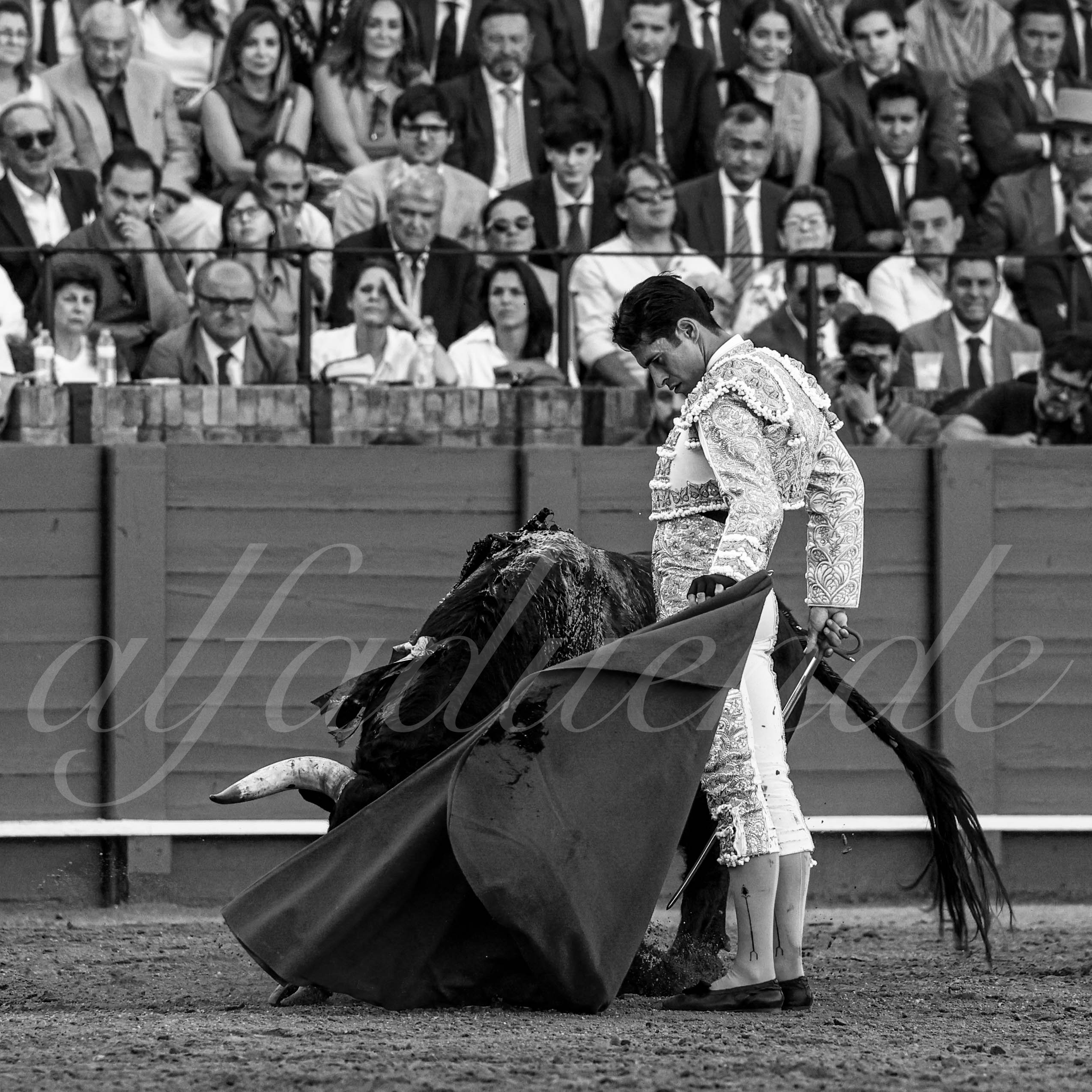 20230424 sevilla 017