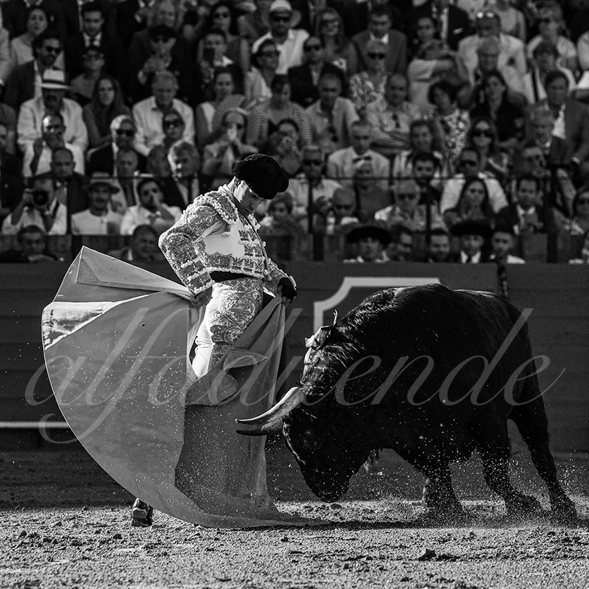 20230424 sevilla 016