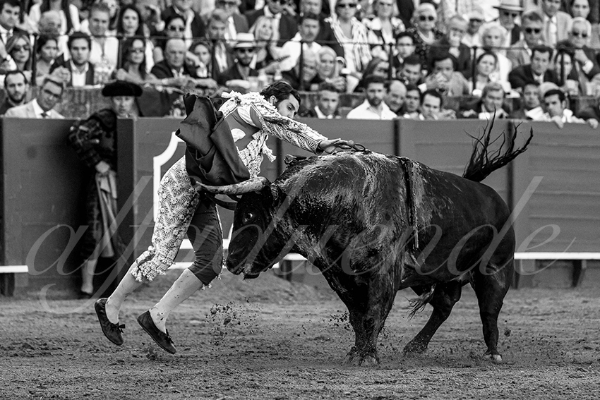 20230424 sevilla 014