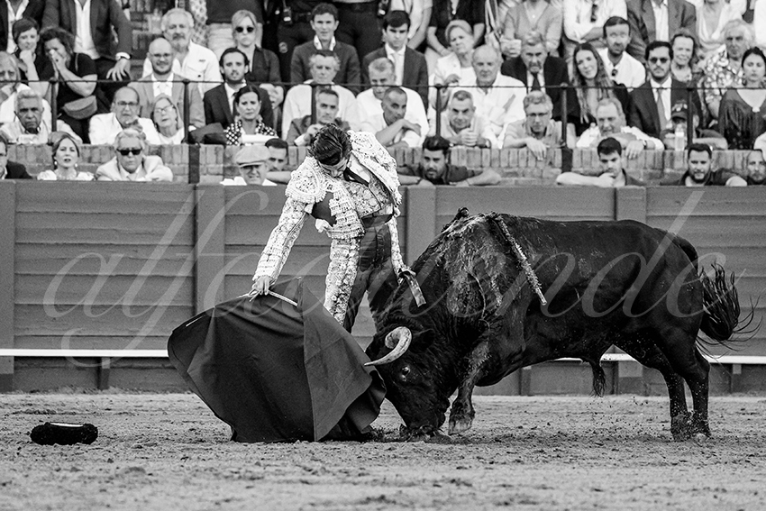 20230424 sevilla 013