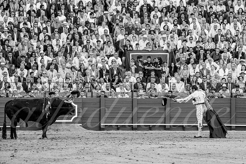 20230424 sevilla 012