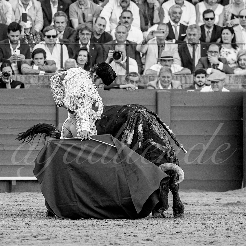 20230424 sevilla 011