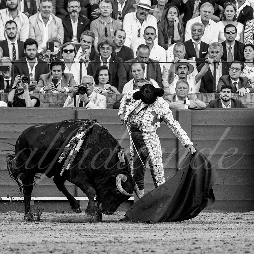 20230424 sevilla 009