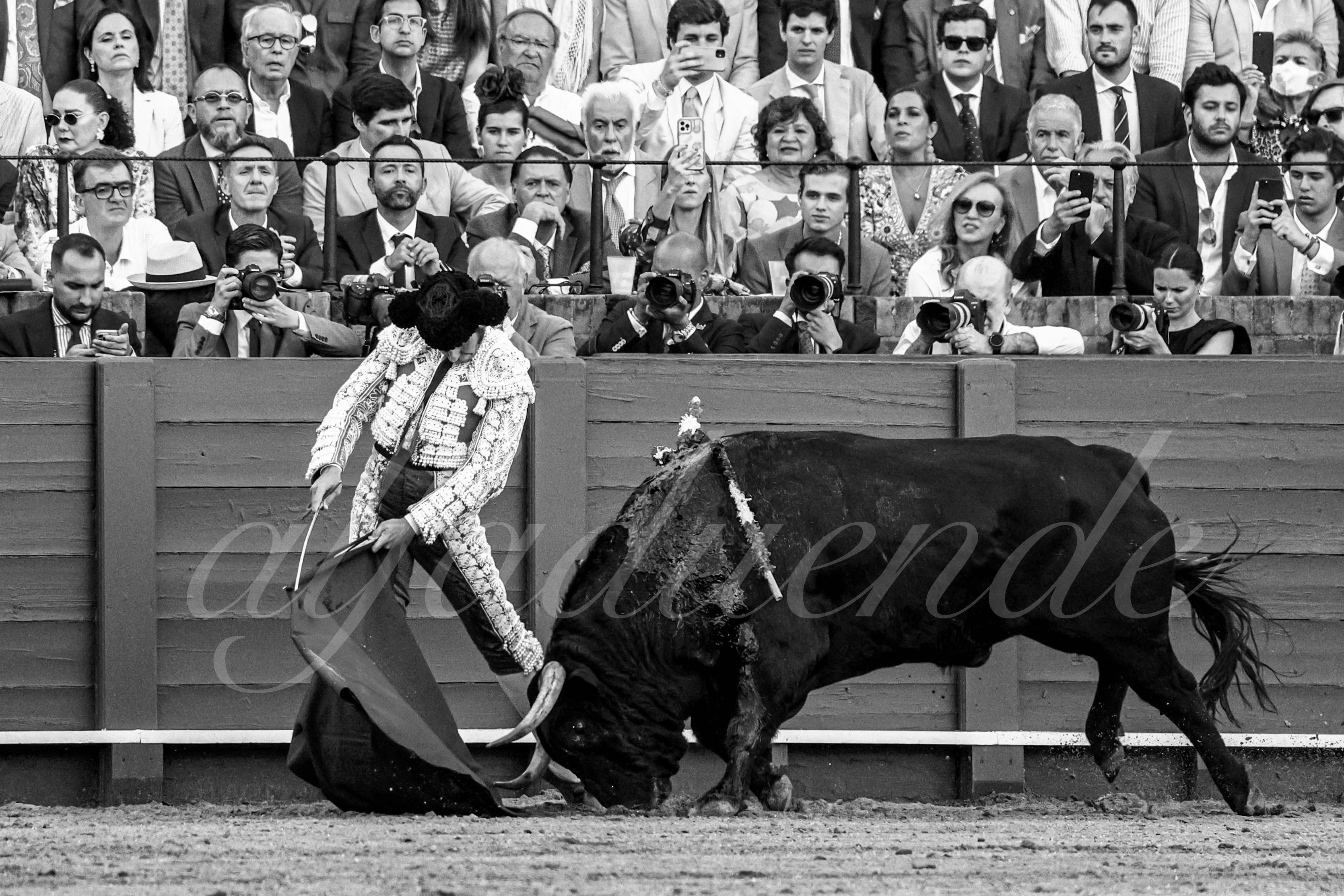 20230424 sevilla 008