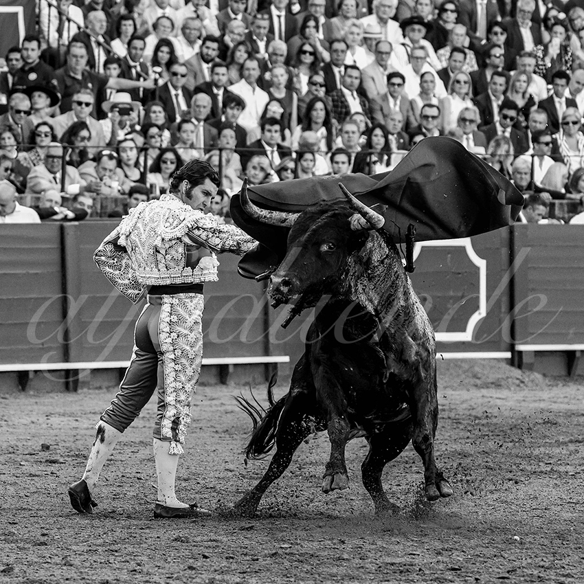 20230424 sevilla 007