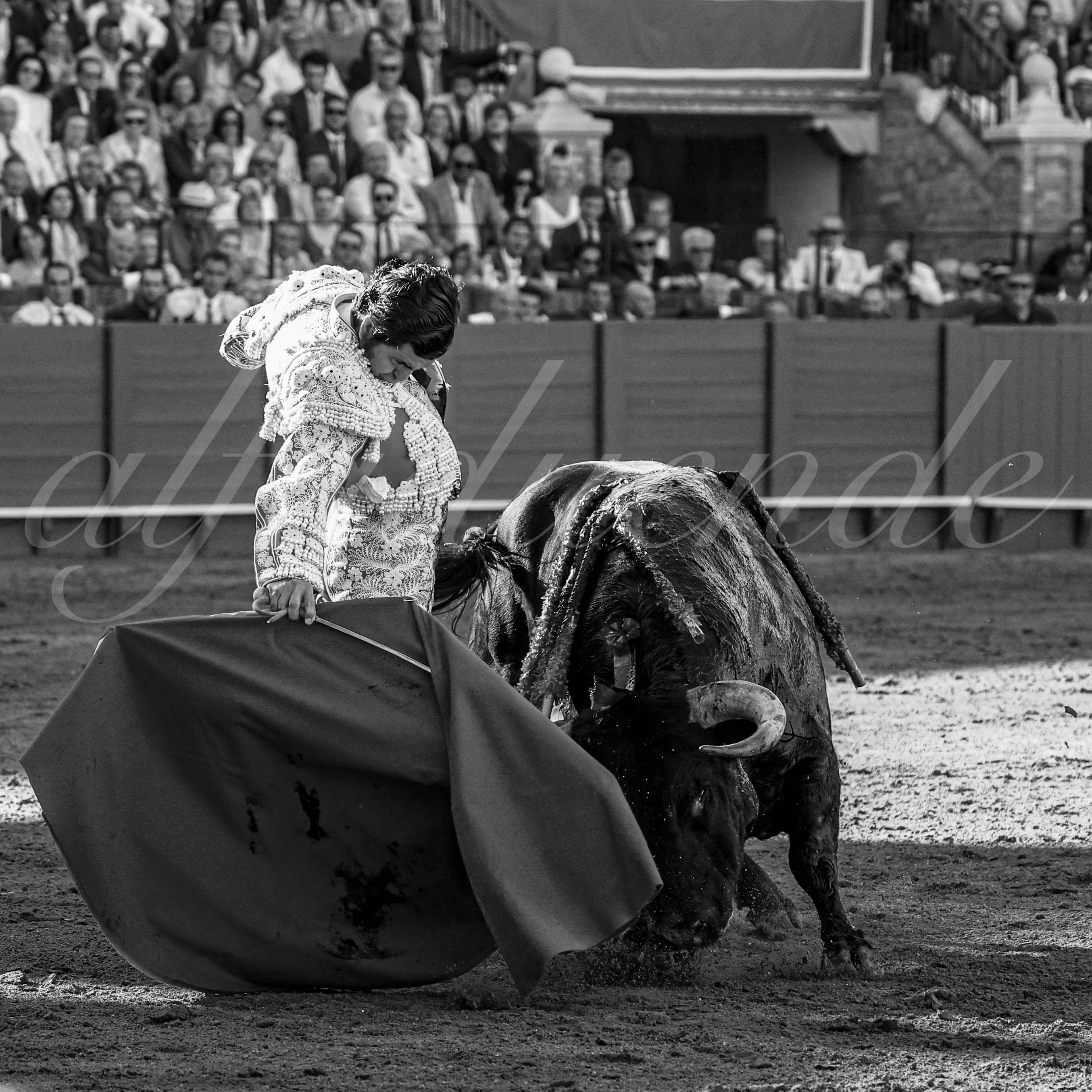 20230424 sevilla 006