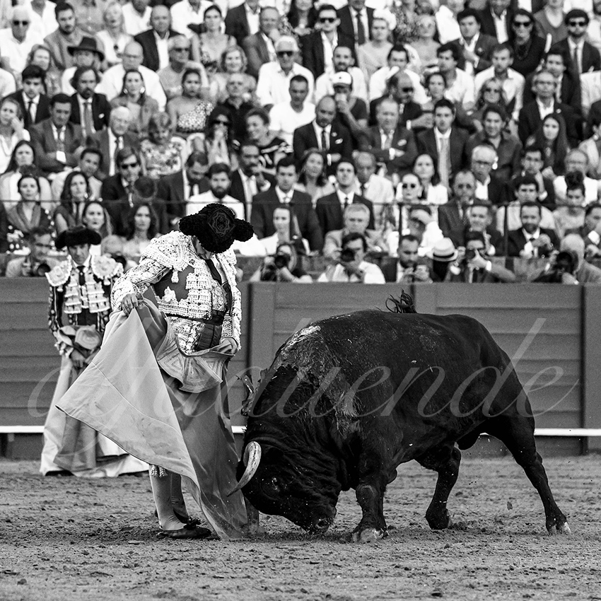 20230424 sevilla 005