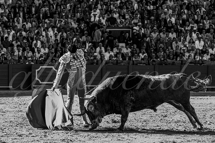 20230425 sevilla 012