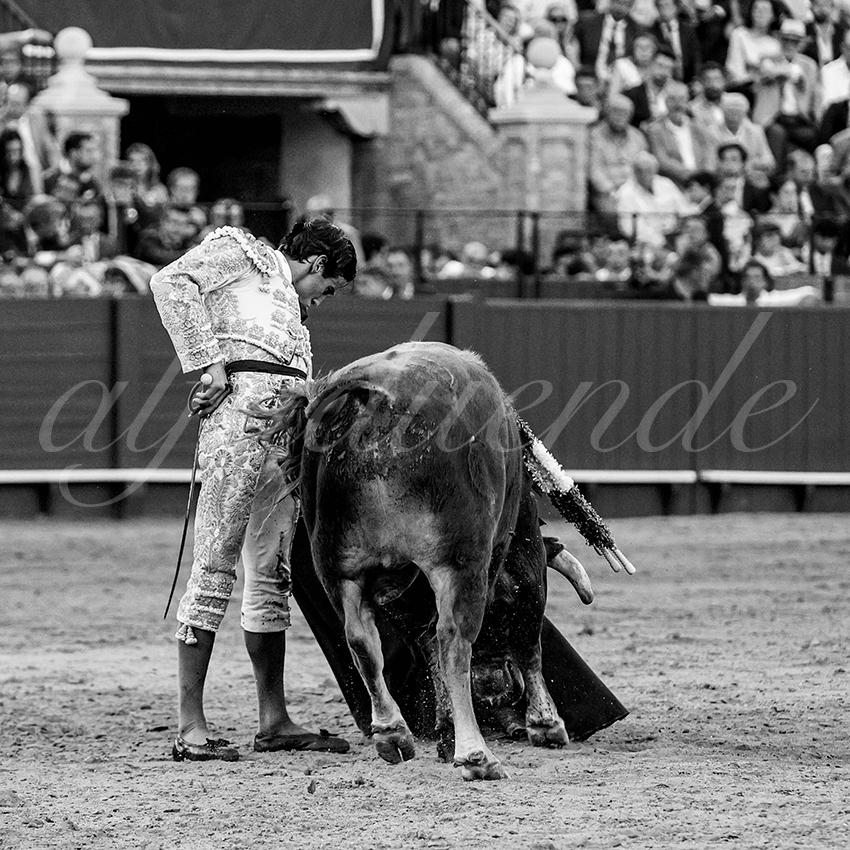 20230426 sevilla 040