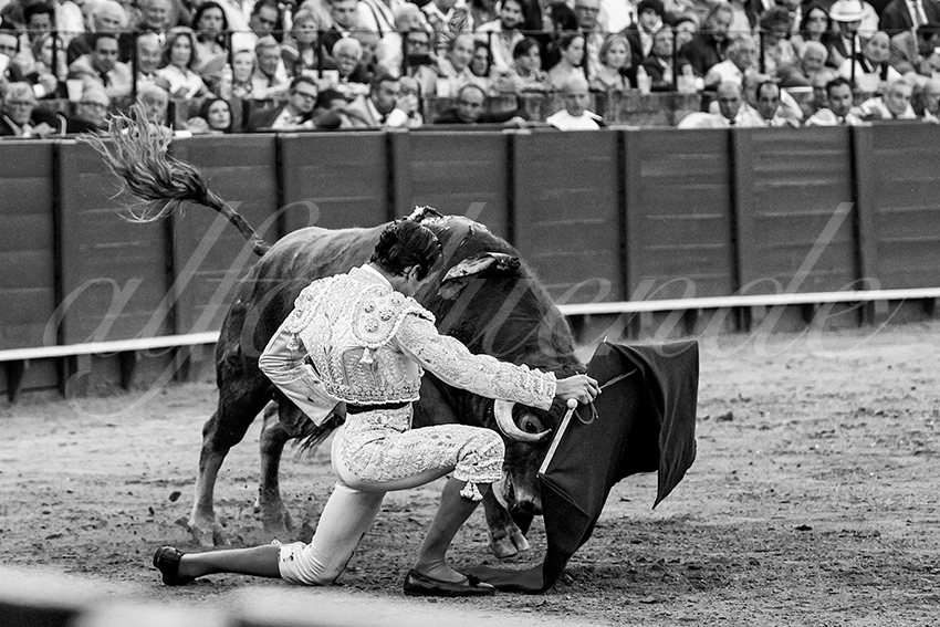 20230426 sevilla 038