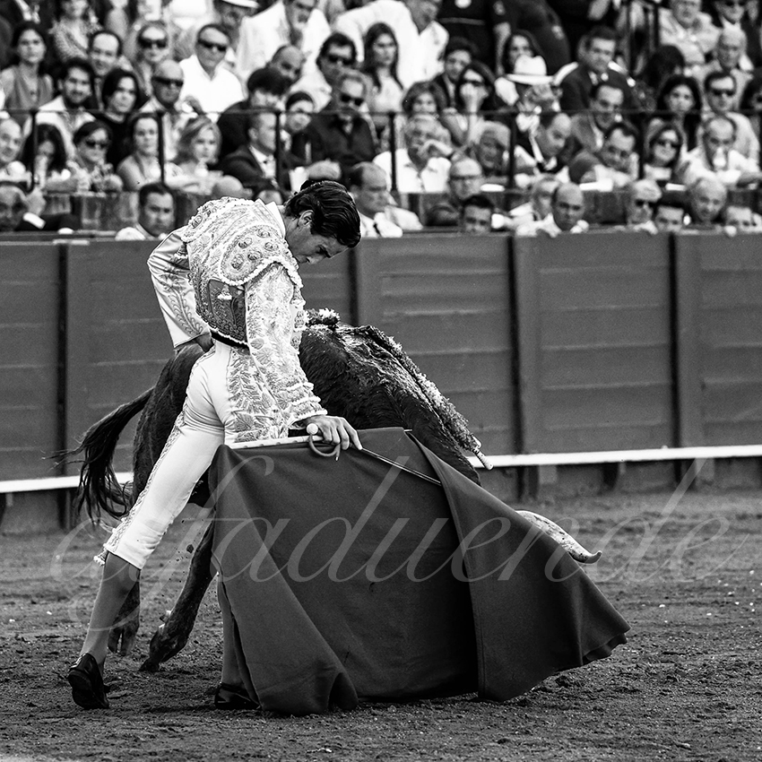 20230426 sevilla 034