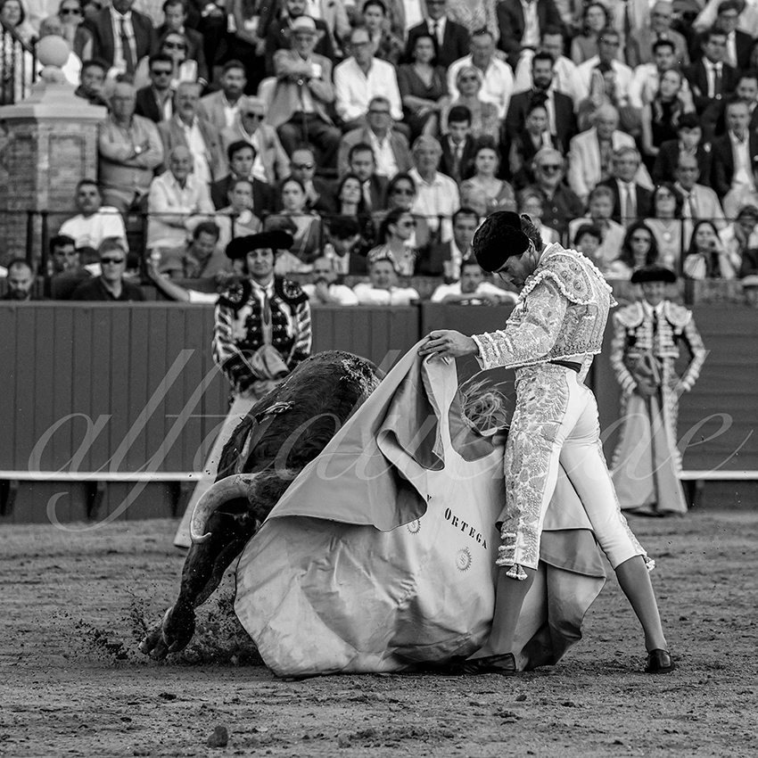 20230426 sevilla 033