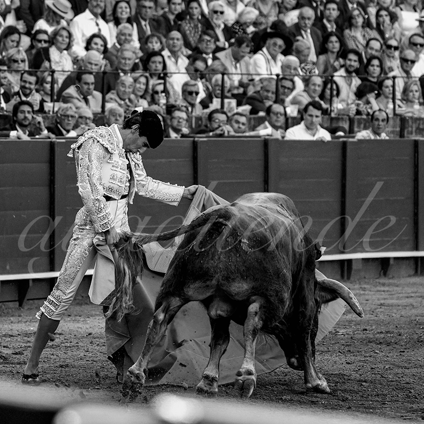 20230426 sevilla 032