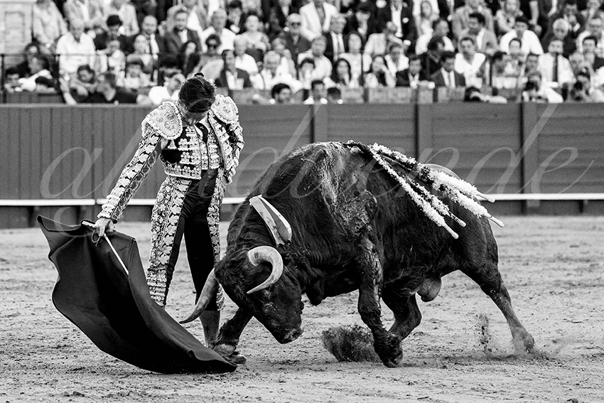 20230426 sevilla 030