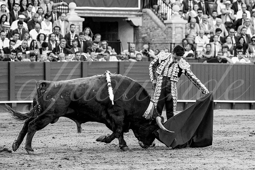 20230426 sevilla 029