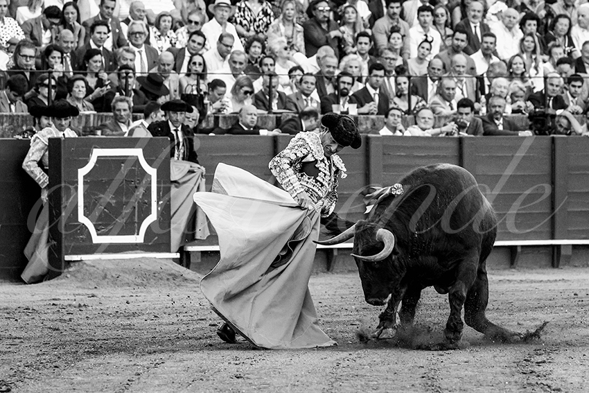 20230426 sevilla 028