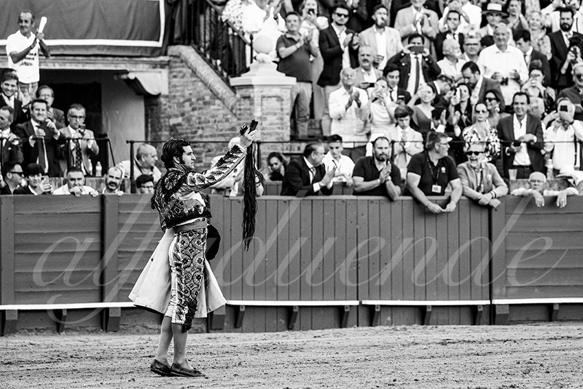 20230426 sevilla 027