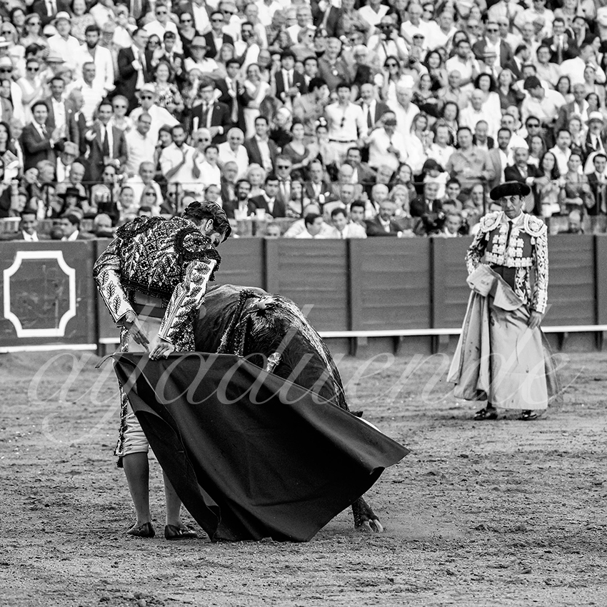 20230426 sevilla 024