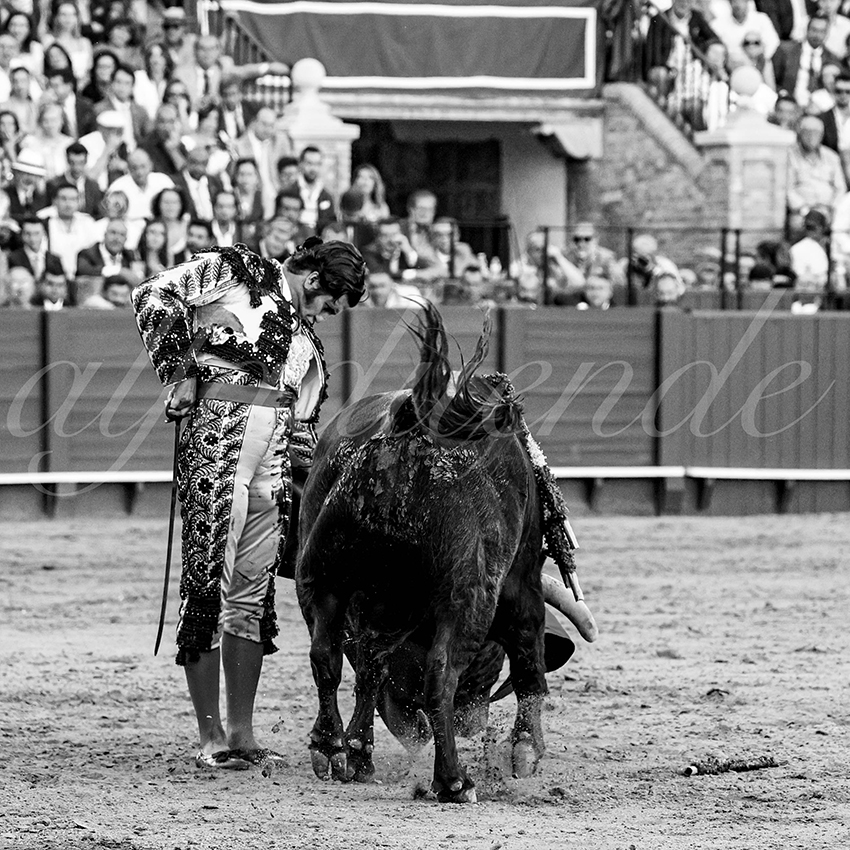 20230426 sevilla 023