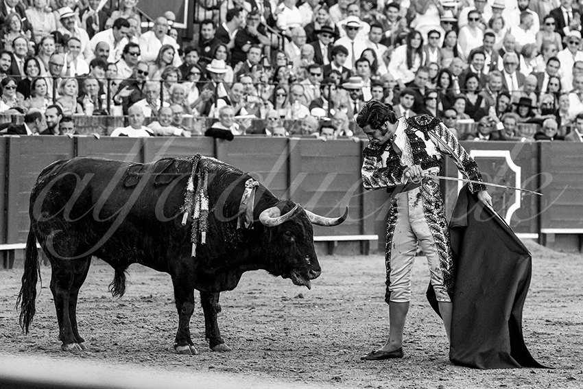 20230426 sevilla 021