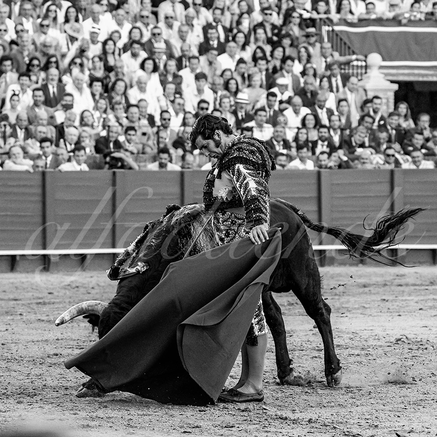 20230426 sevilla 020