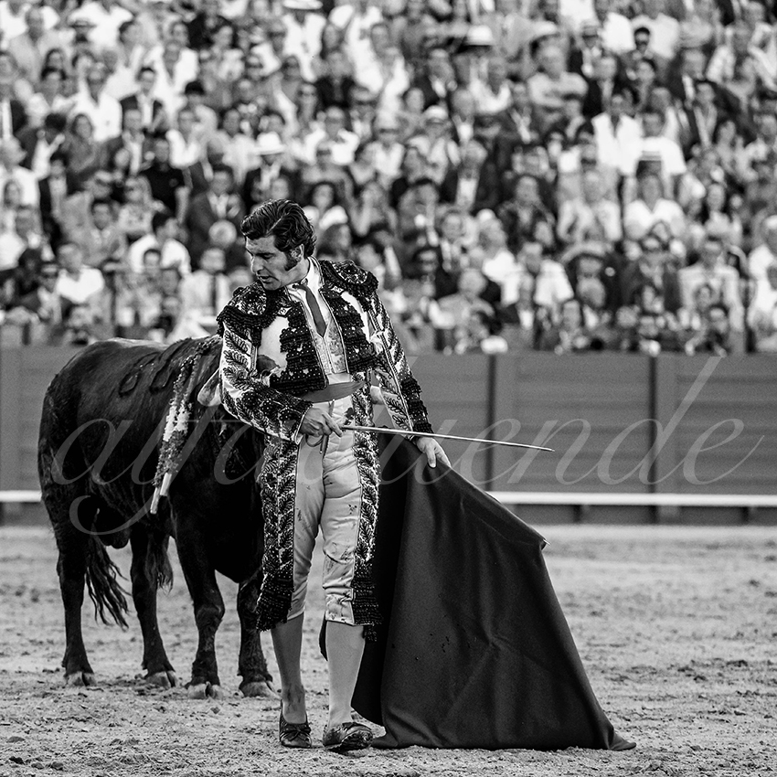 20230426 sevilla 019