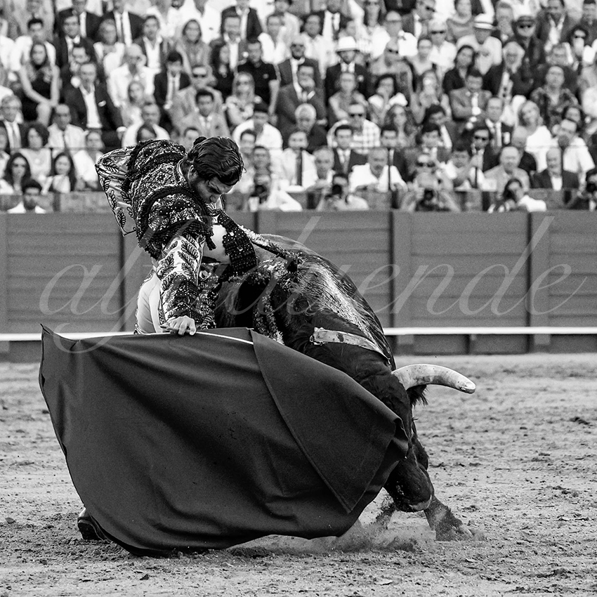 20230426 sevilla 018