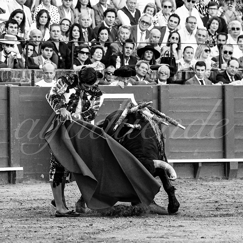 20230426 sevilla 017