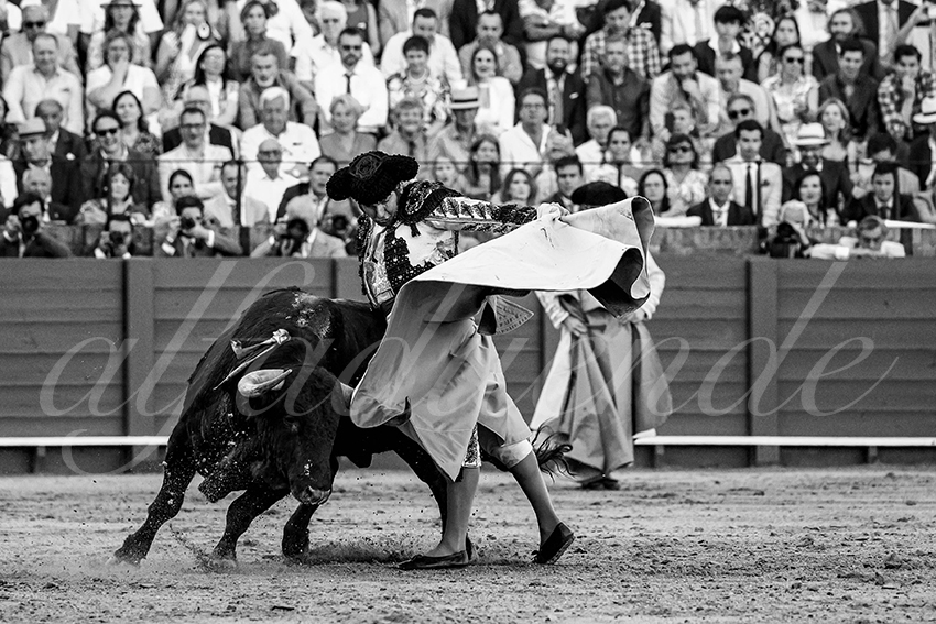 20230426 sevilla 016