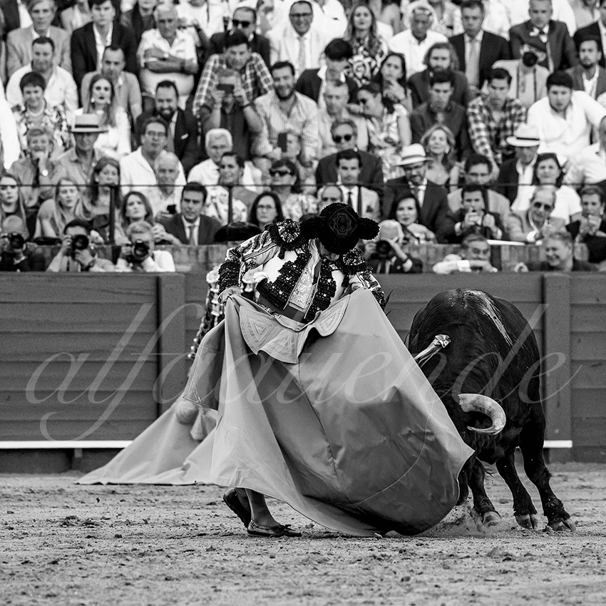 20230426 sevilla 015