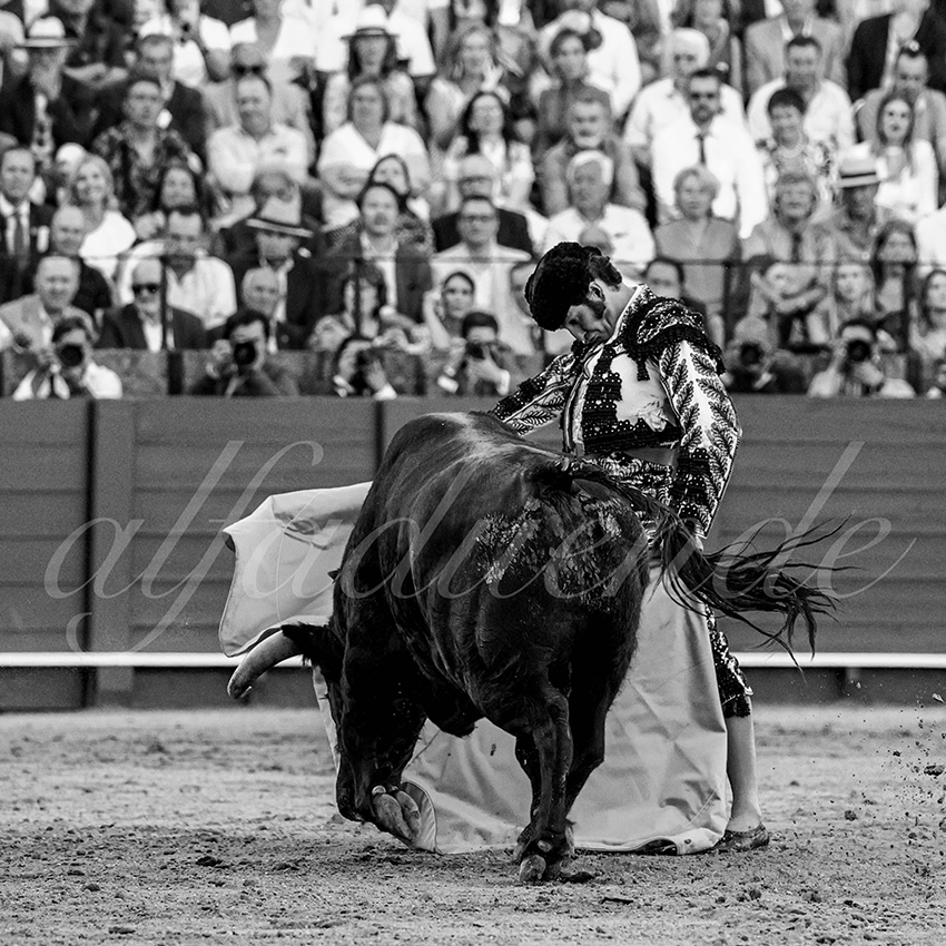 20230426 sevilla 014