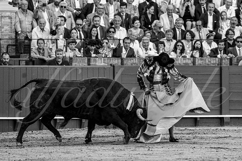 20230426 sevilla 013