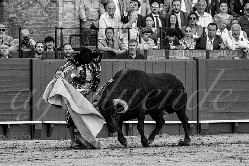 20230426 sevilla 012