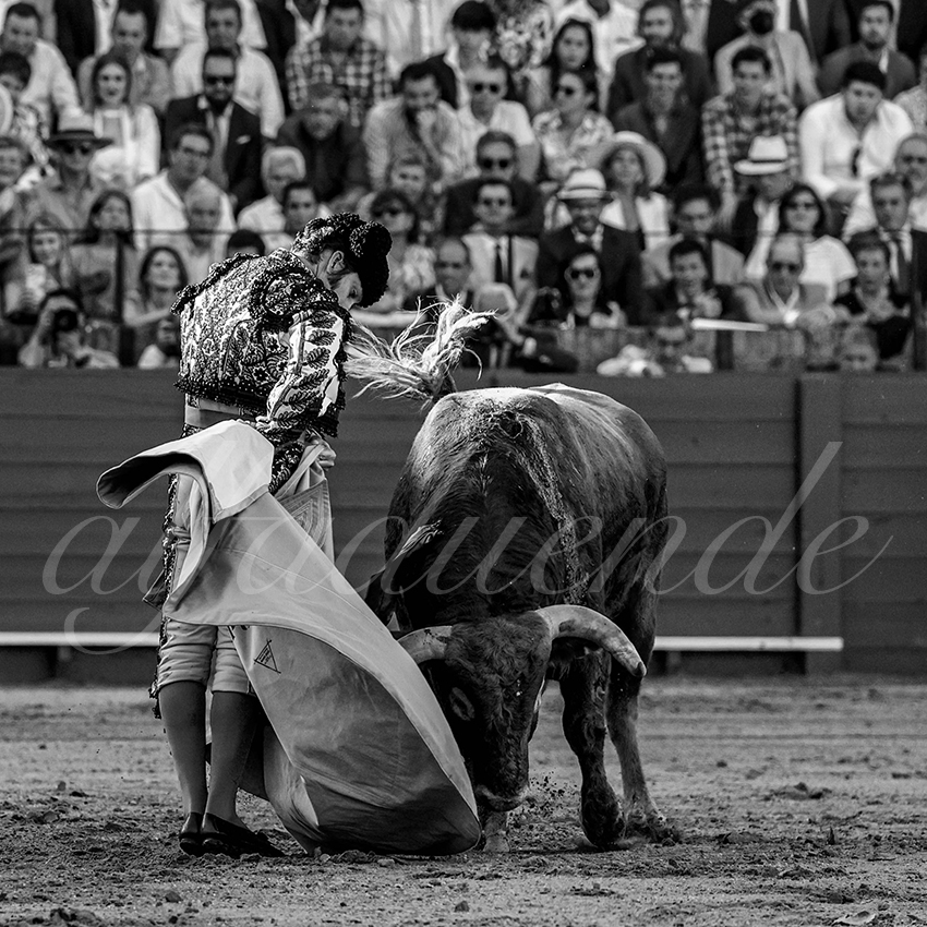 20230426 sevilla 010