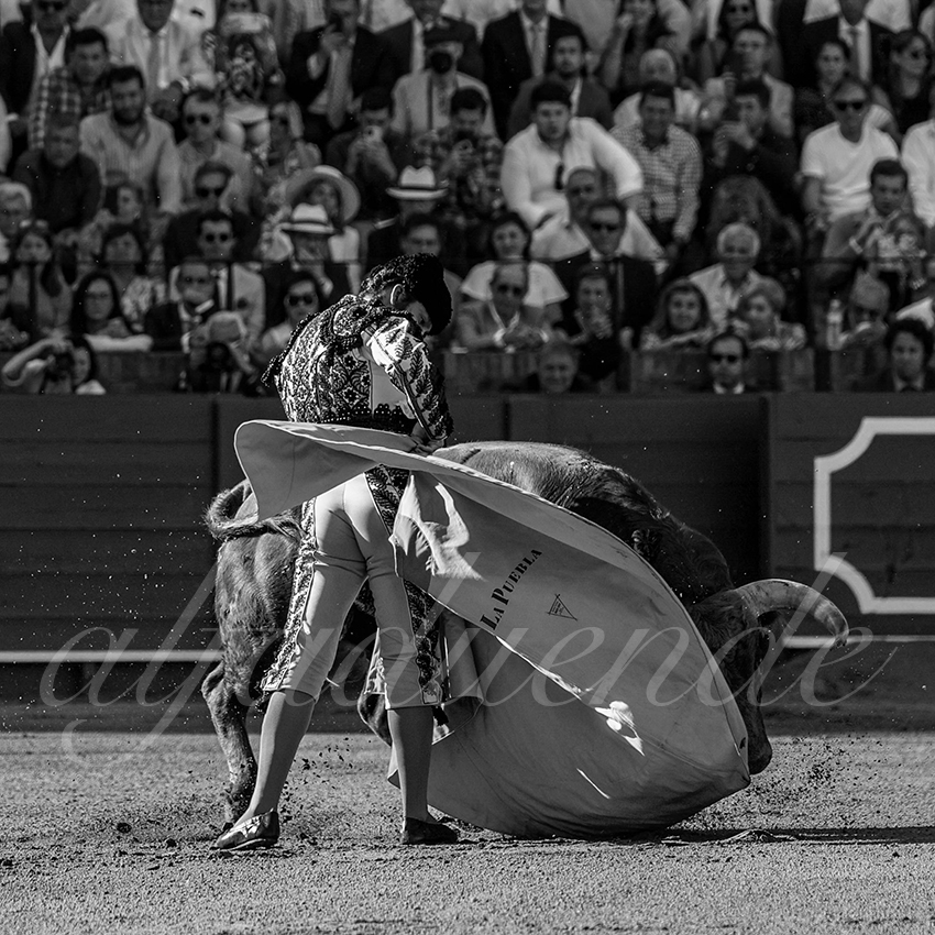 20230426 sevilla 008