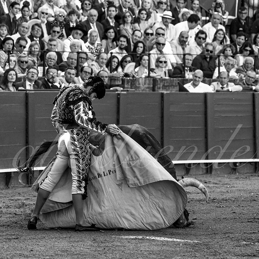 20230426 sevilla 007