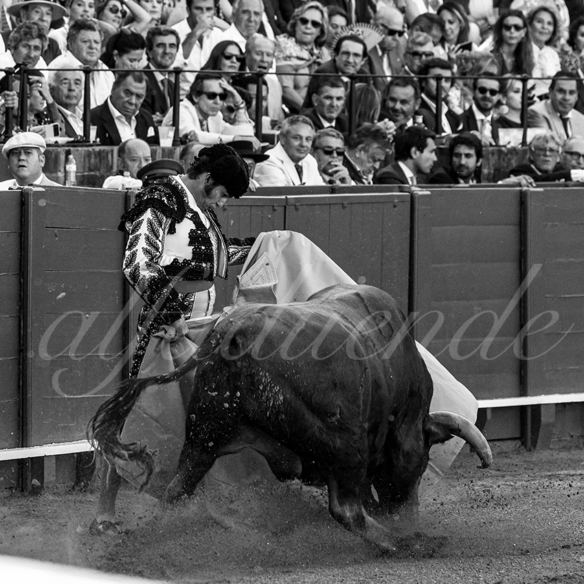 20230426 sevilla 006