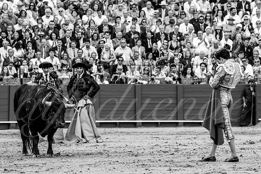 20230427 sevilla 021