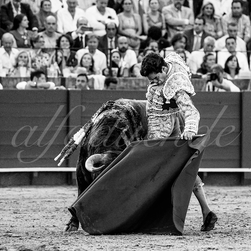 20230427 sevilla 020