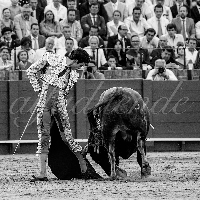 20230427 sevilla 019