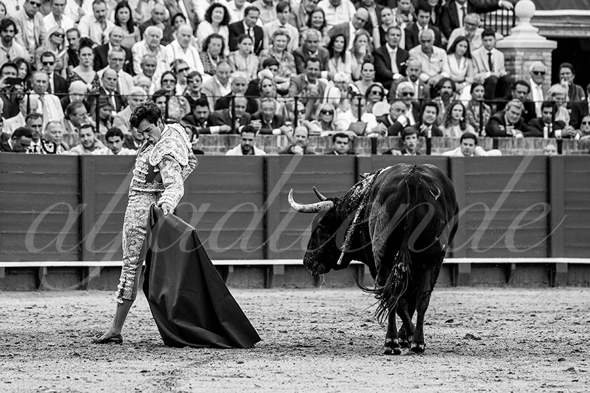 20230427 sevilla 017