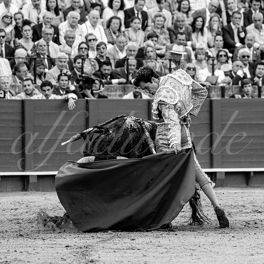 20230427 sevilla 016