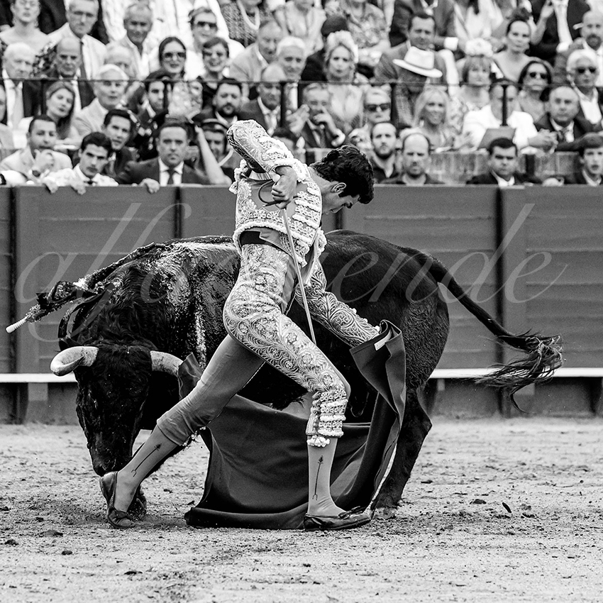 20230427 sevilla 014