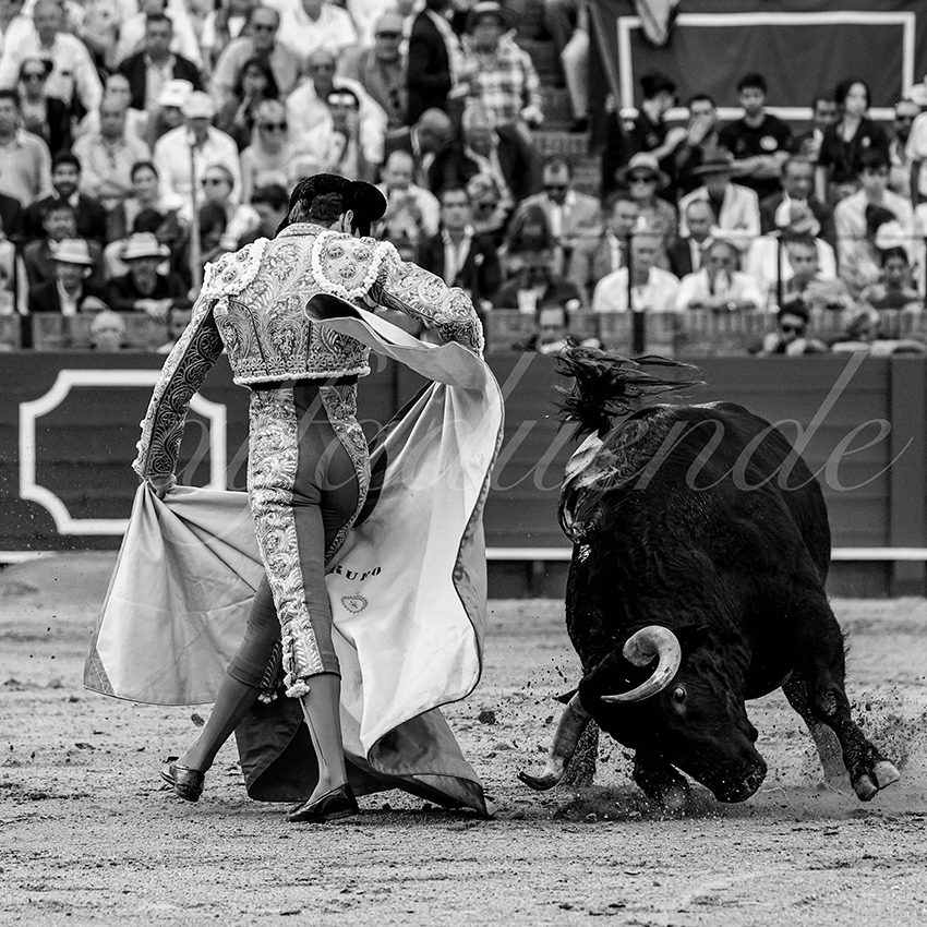 20230427 sevilla 013